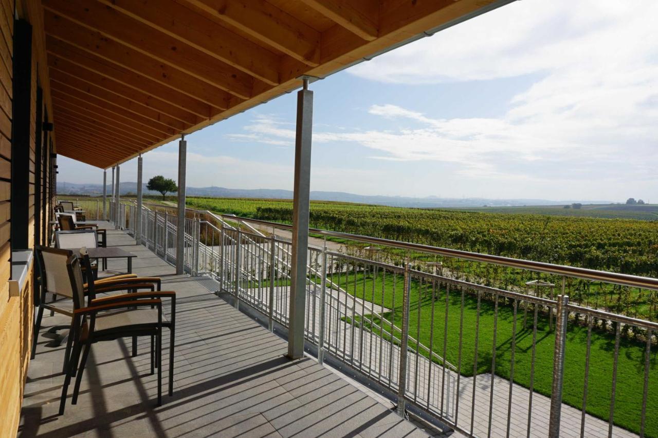 Appartement Weingut Schaaf à Lauffen am Neckar Extérieur photo